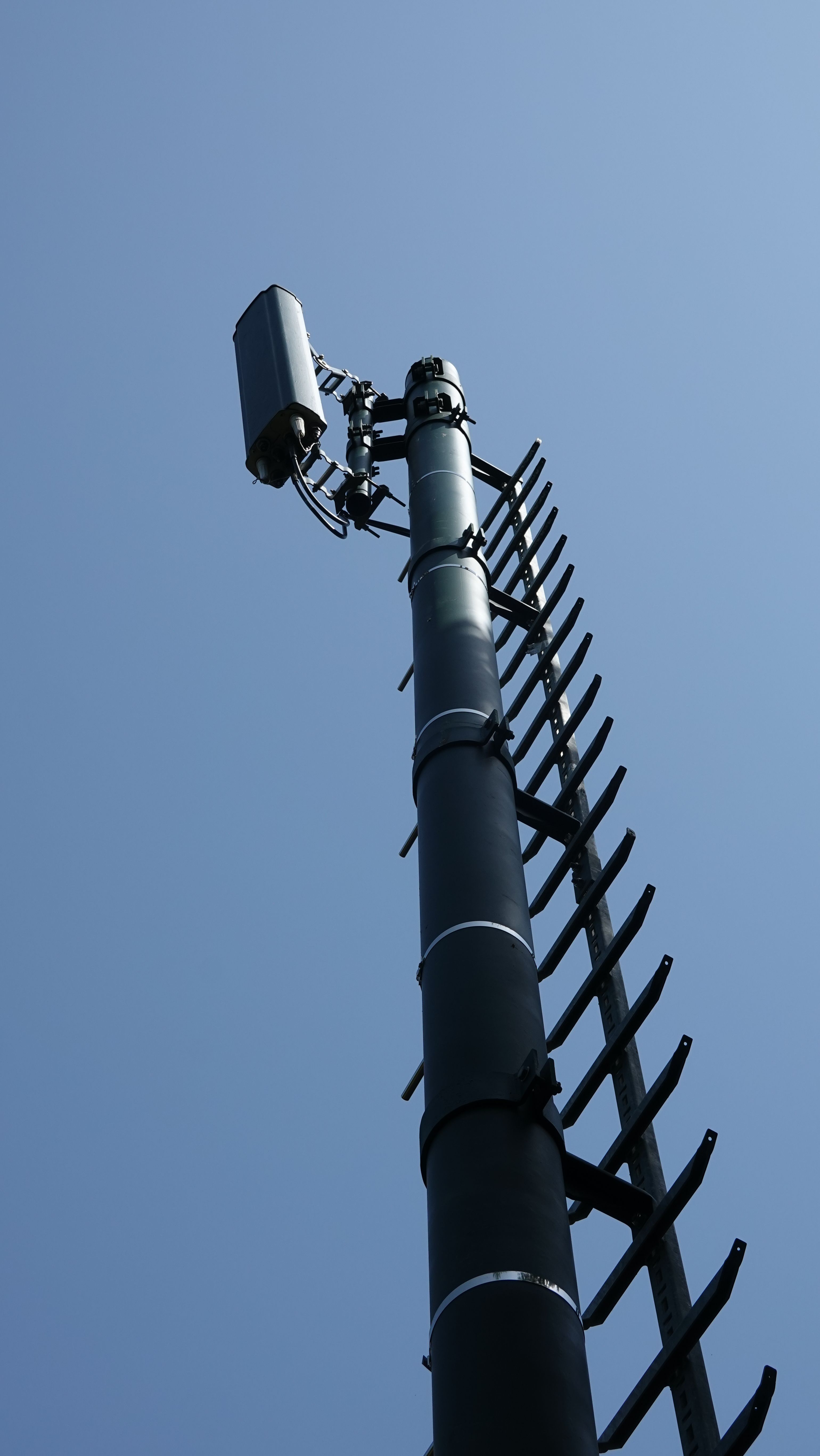 Die gemeinsame Antenne