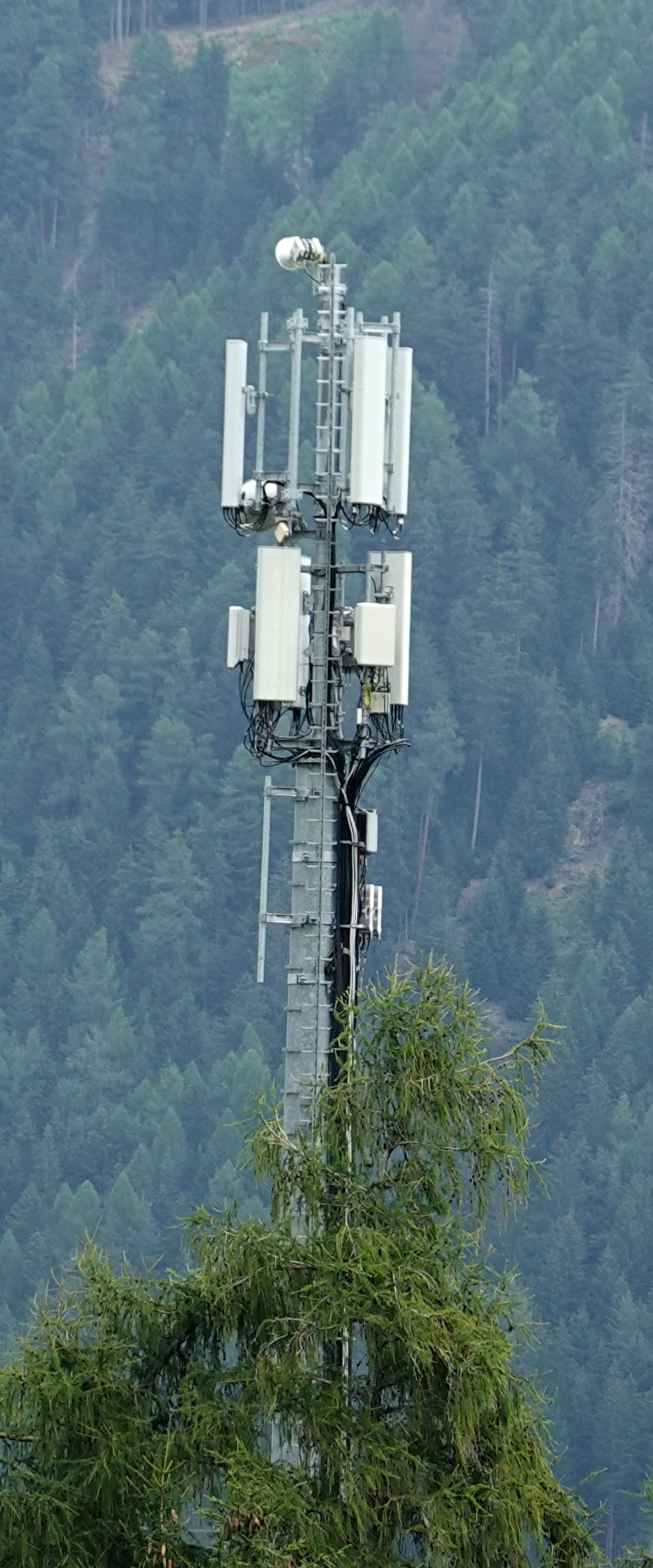 Die Antennen von Tim und Vodafone im August 2024